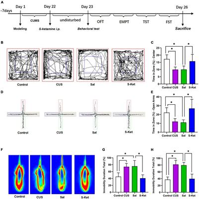 Sirtuin Type 1 Mediates the Antidepressant Effect of S-Ketamine in a Chronic Unpredictable Stress Model
